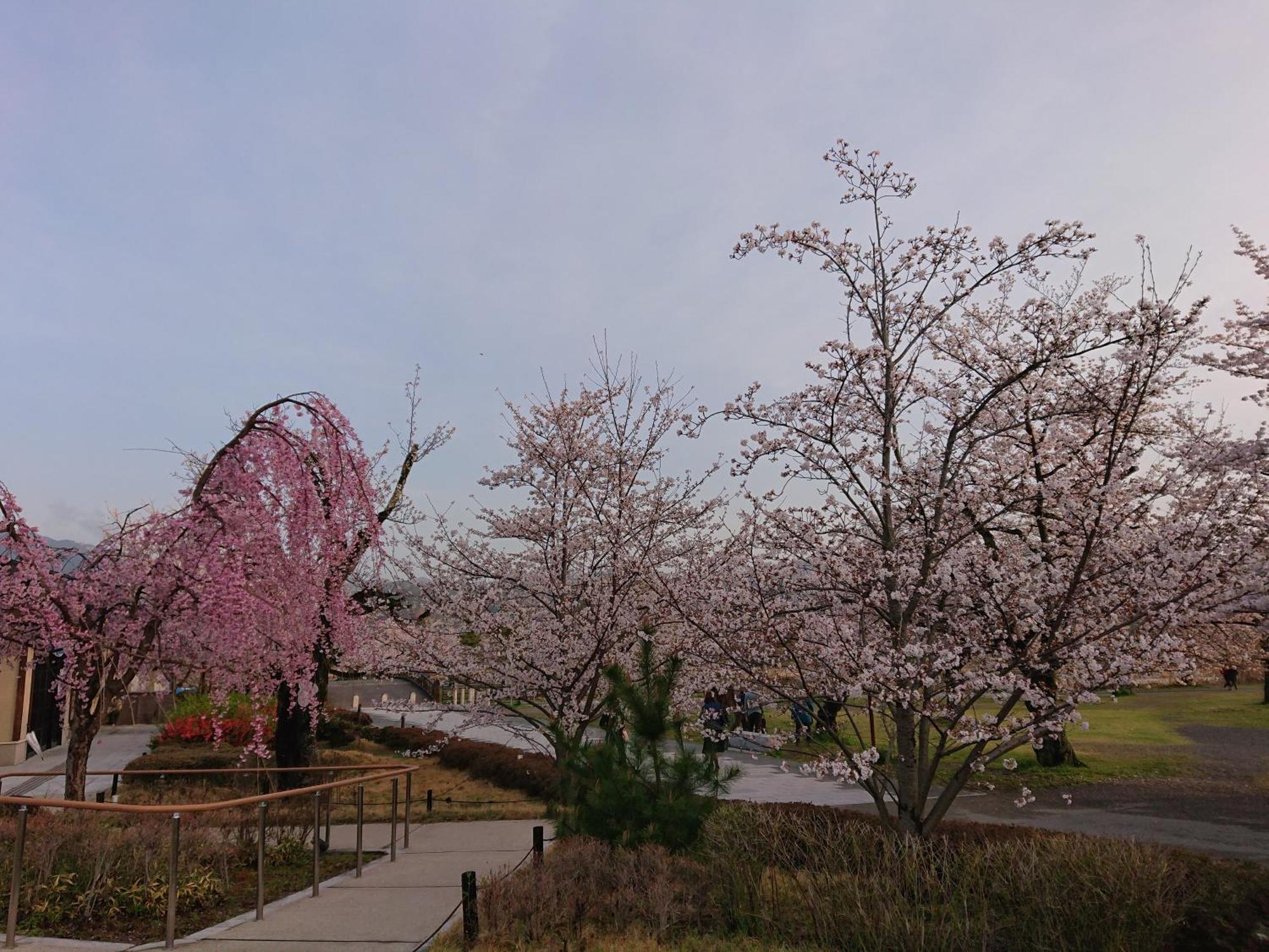 Hotel Arashiyama Kyoto Luaran gambar