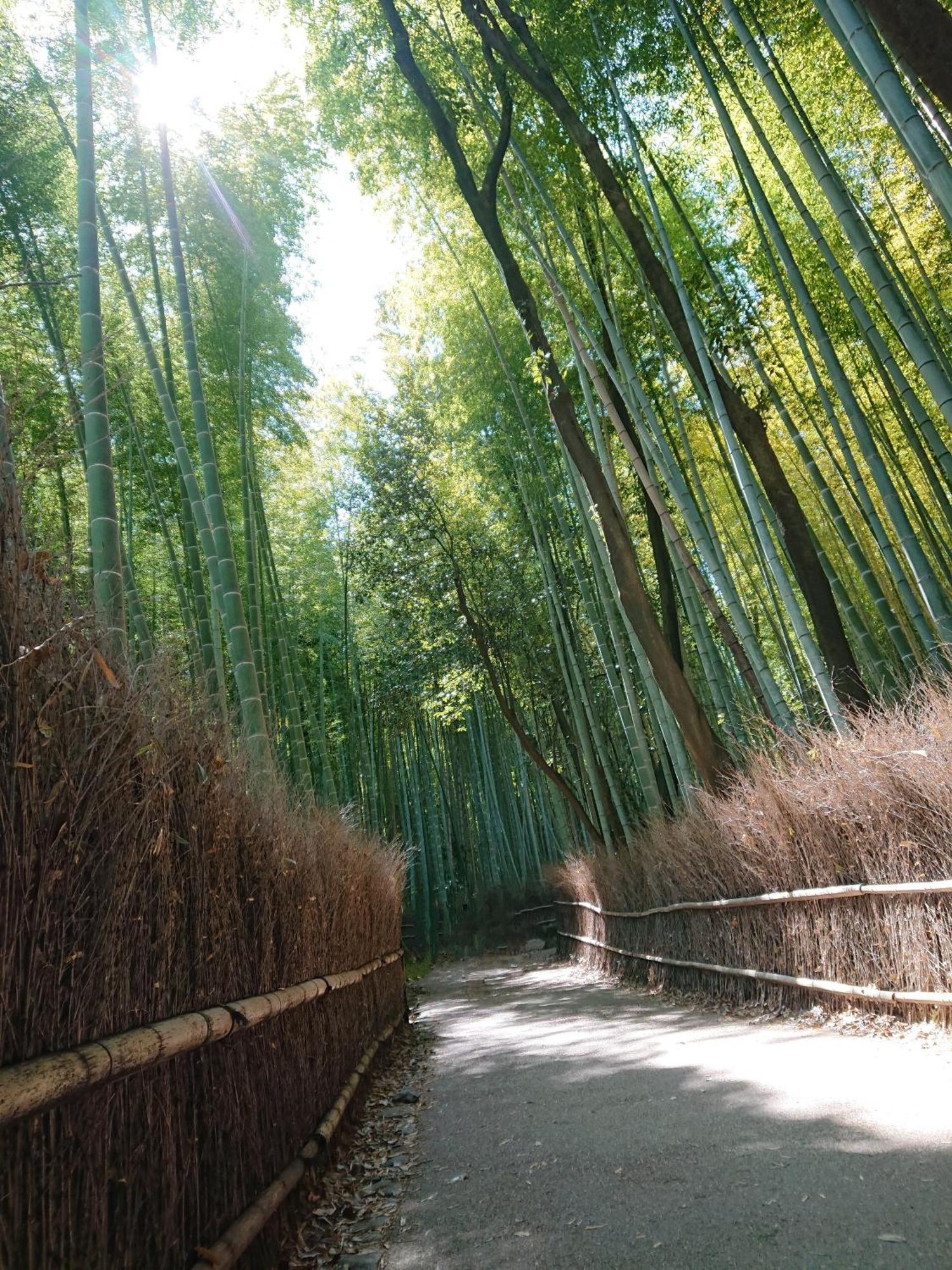 Hotel Arashiyama Kyoto Luaran gambar