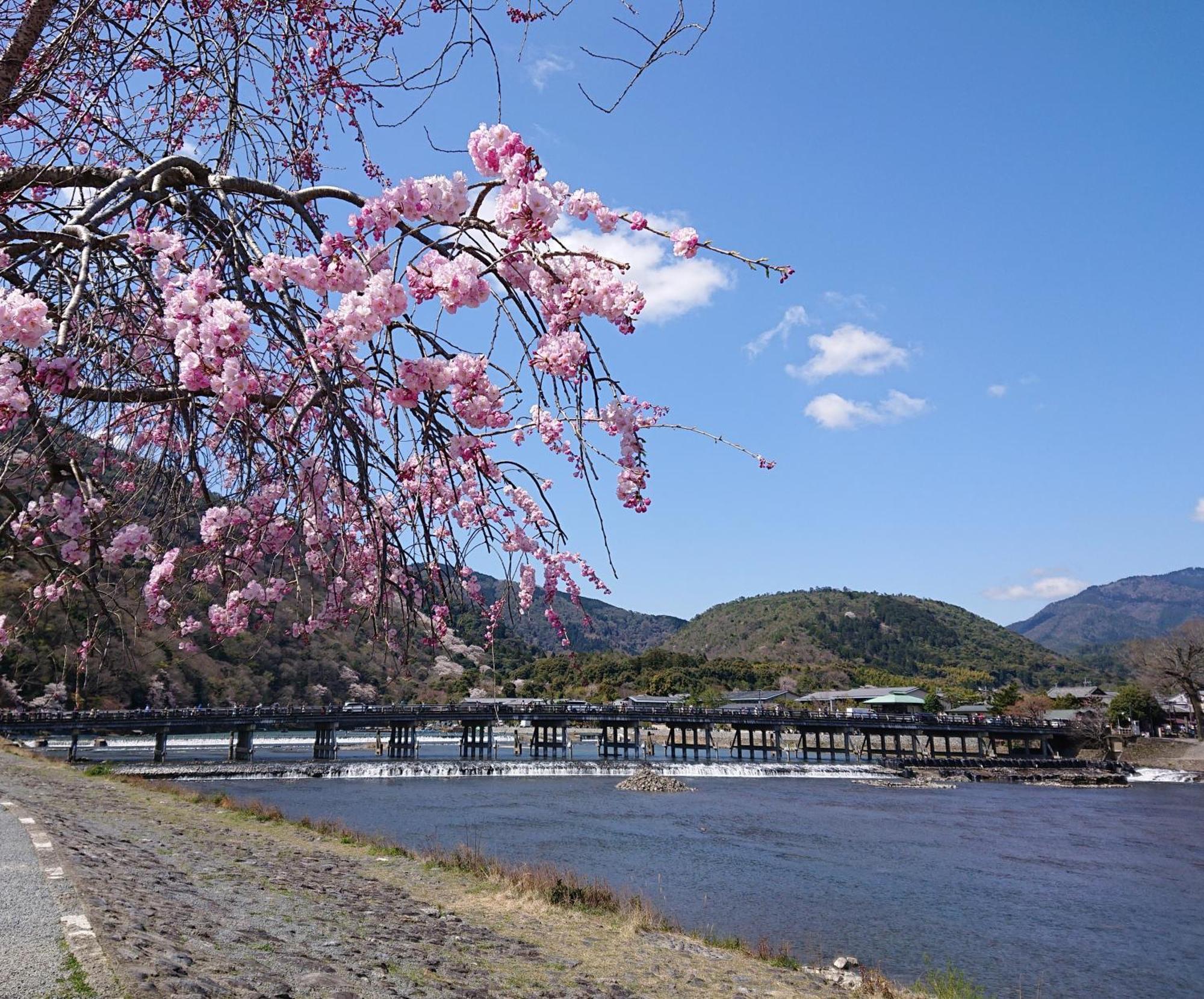 Hotel Arashiyama Kyoto Luaran gambar